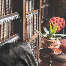 Load image into Gallery viewer, 'Old Bookshop' Soy Candle – Book Lover Gift