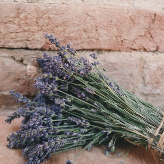 'Provence' – French Lavender Essential Oil Soy Candle