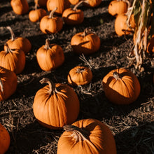 Load image into Gallery viewer, 'Pumpkin' Candle – Limited Edition