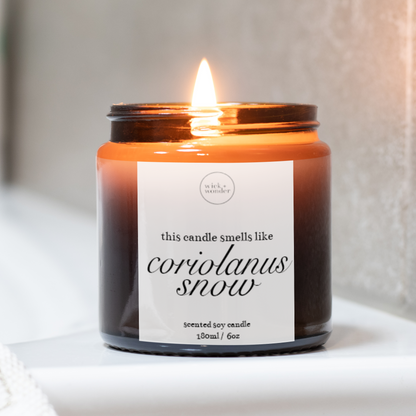 Coriolanus Snow Candle, Hunger Games Gifts
